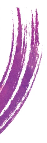 pattern of circles